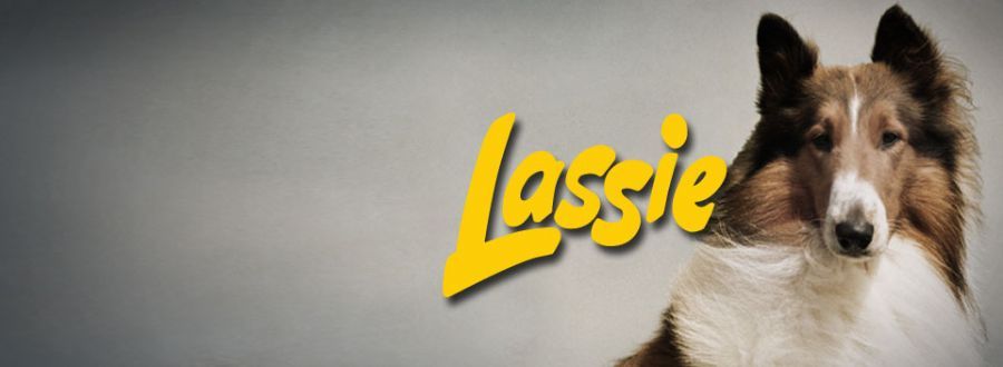 Lassie
