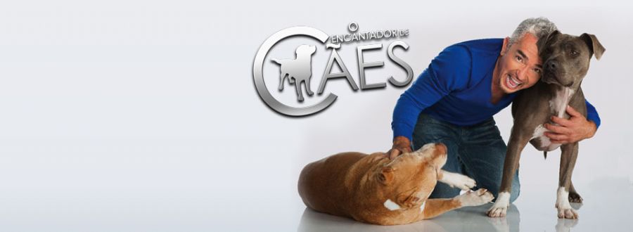 O Encantador de Cães