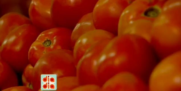 Conheça sugestões para substituir o tomate