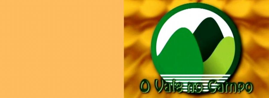 O Vale no Campo