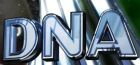 DNA