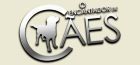 O Encantador de Cães