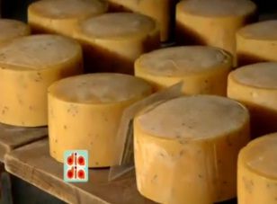 Conheça o processo de fabricação do Queijo