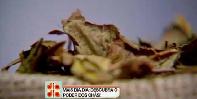 Conheça os benefícios do chá branco e do chá verde