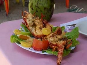Mônica Apor visita litoral de Pernambuco