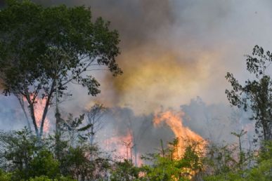 Queimadas e incêndios no Brasil diminuem em 2022 Foto: Antonio Scorza/AFP