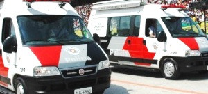 Polícia 24h / Sábado