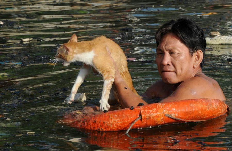 Veja as imagens que marcaram este sábado 