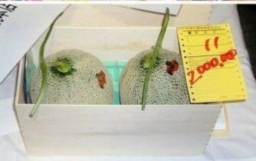 nome da imagem