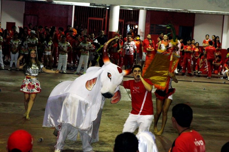 Garantido mostra parte de sua apresentação