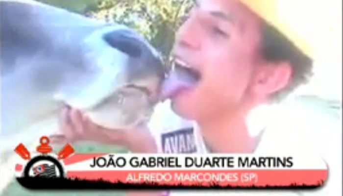 Torcedor maluco dá um beijo de língua na vaca / Reprodução/ BAND