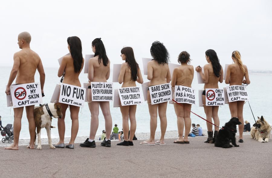 Cachorros participaram de protesto contro uso de pele animal na França  / Valery Hache/AFP