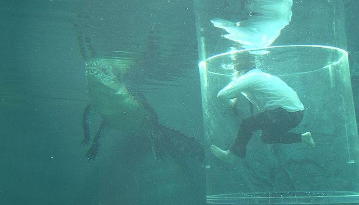 Mau Meirelles nadando com o crocodilo / Reprodução/Band