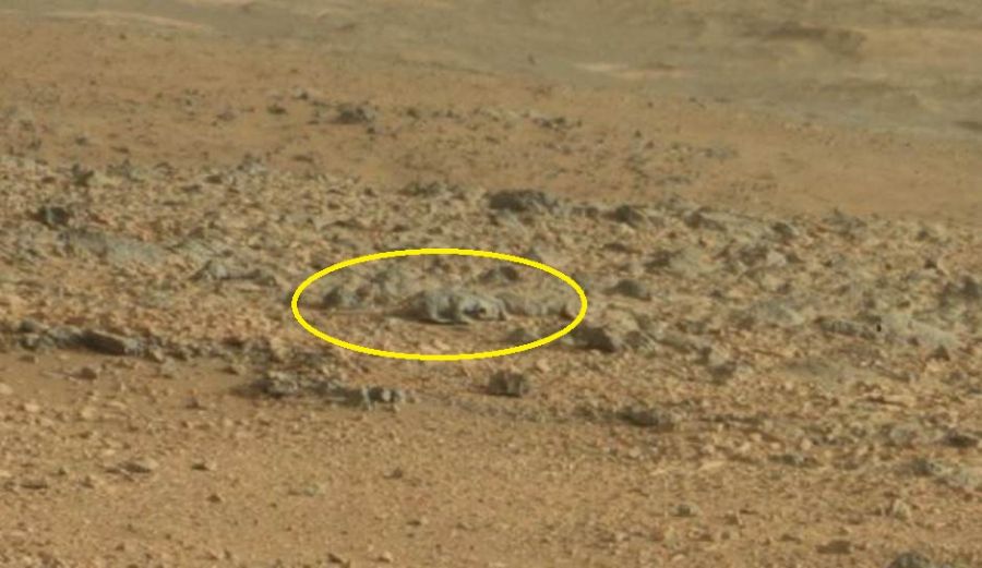 Foto mostra o que seria um furão em Marte
