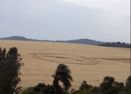 Vídeo mostra o tamanho dos desenhos misteriosos encontrados em uma plantação de trigo, em Ipuaçu (SC). / Reprodução/Youtube