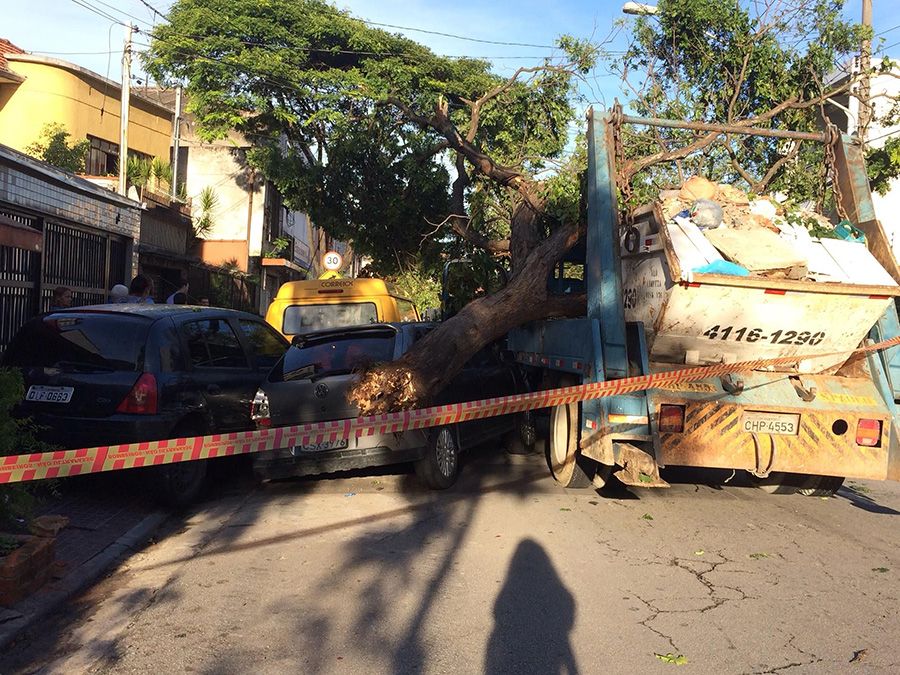 Sp Caminh O Bate Em Rvore Ca Da E Arrasta Fia O Jornal Do Rcio