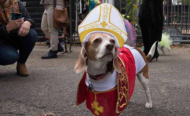 Nova York tem parada canina de Dia das Bruxas