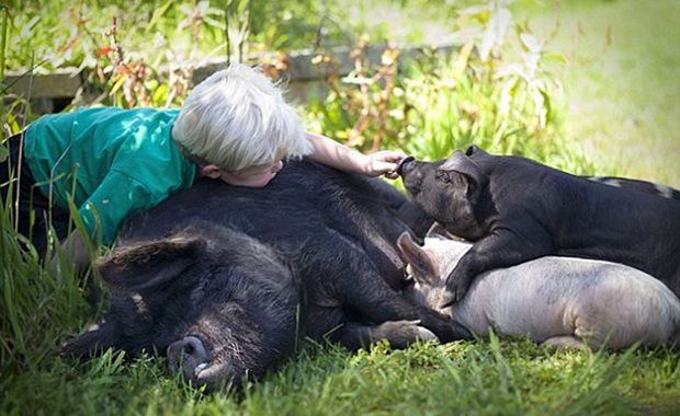 Fotógrafa retrata amor de crianças e seus animais
