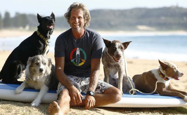 Treinador australiano usa surfe para disciplinar cães 