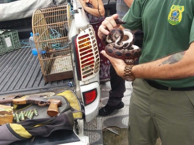 Opera O Prende Traficantes E Resgata Animais Not Cias Cidades