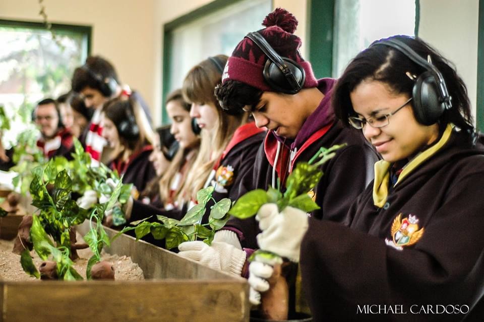 Aulas de Poções e Herbologia fazem parte da grade curricular