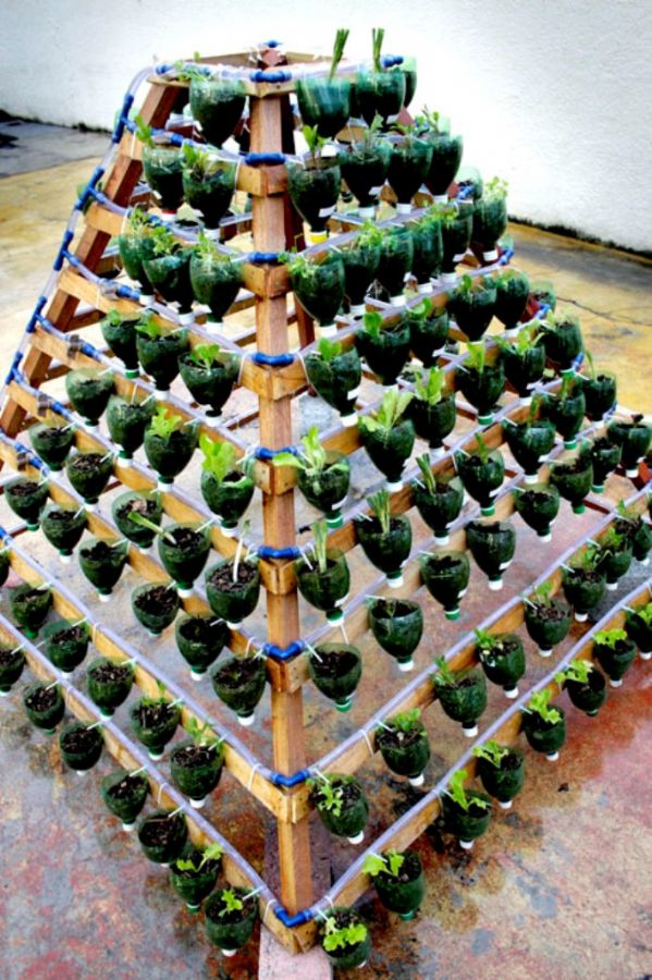 Horta piramidal: mais saudáveis e livres de agrotóxicos / Foto: Divulgação/PMG
