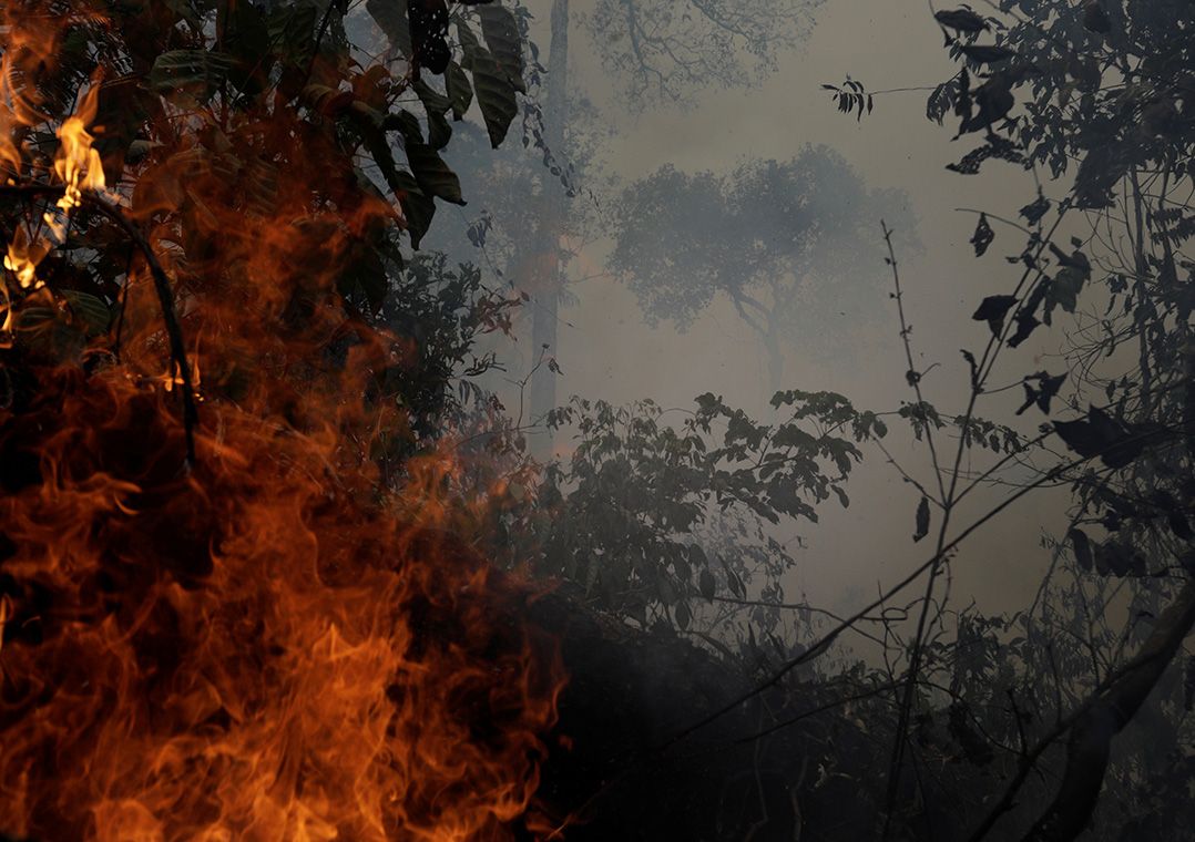 Desmate na Amazônia voltou a subir, apontam dados do Inpe