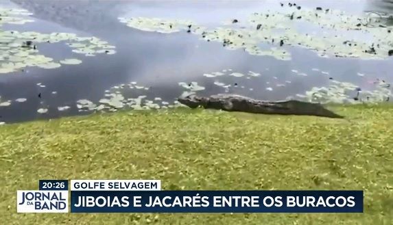 Campo de golfe no Rio conta com presença de jiboias e jacarés
