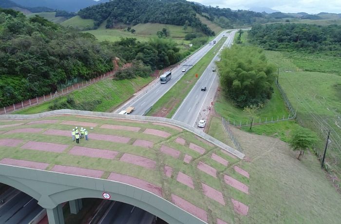 Rodovia BR-101 ganha primeiro viaduto vegetado do País