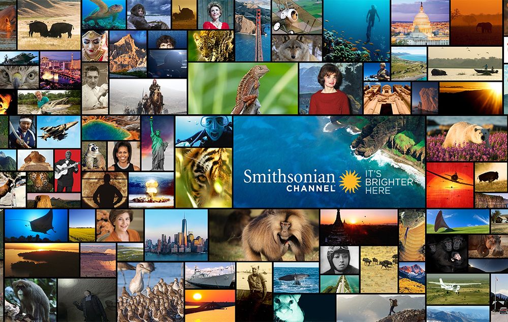 Smithsonian Channel entra na grade de canais da BluTV Divulgação