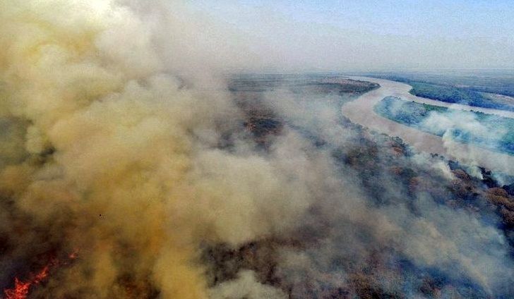 Pantanal: Bombeiros desistem de combater fogo e esperança é a chuva