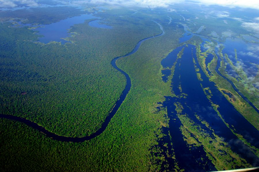 Vista aérea da floresta amazônica, na região de Mamirauá, Estado do Amazonas / Dida Sampaio/AE