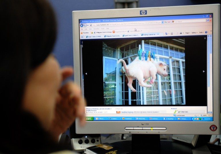 O PETA lançou, junto com a polí­cia, uma investigação para localizar quem postou a foto