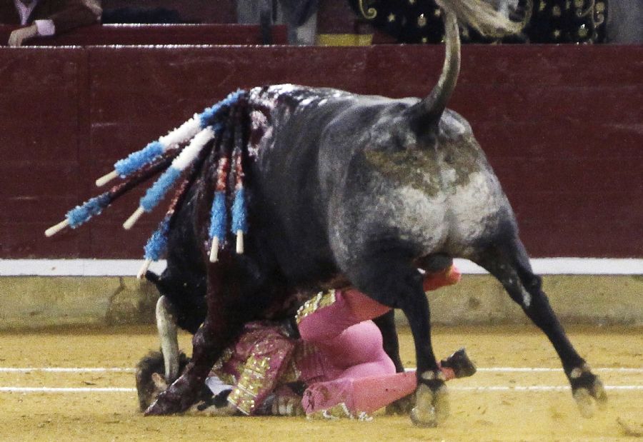 A imagem mostra o espanhol Juan José Padilla ser chifrado por um touro durante uma tourada em Zaragoza / NAYADE MONCIN / AFP