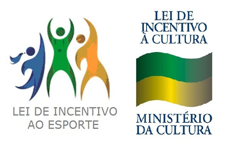 Segundo especialista, em 2010, somente 257 doações de Pessoas Físicas foram feitas ao esporte / Divulgação