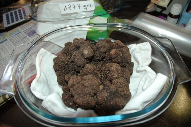 Degustação de trufas negras pode passar dos R$ 300 em SP