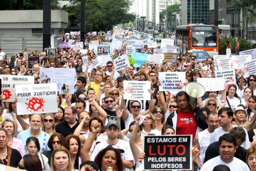 Manifestação reuniu centenas na avenida Paulista / André Lessa/AE