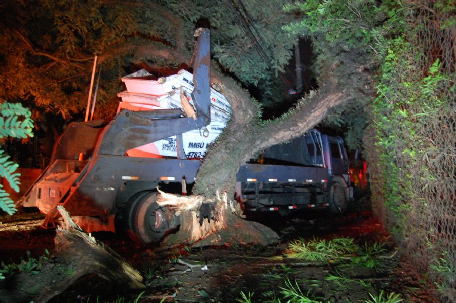 Caminhão colide com árvores na zona oeste de SP