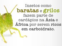  Tabus