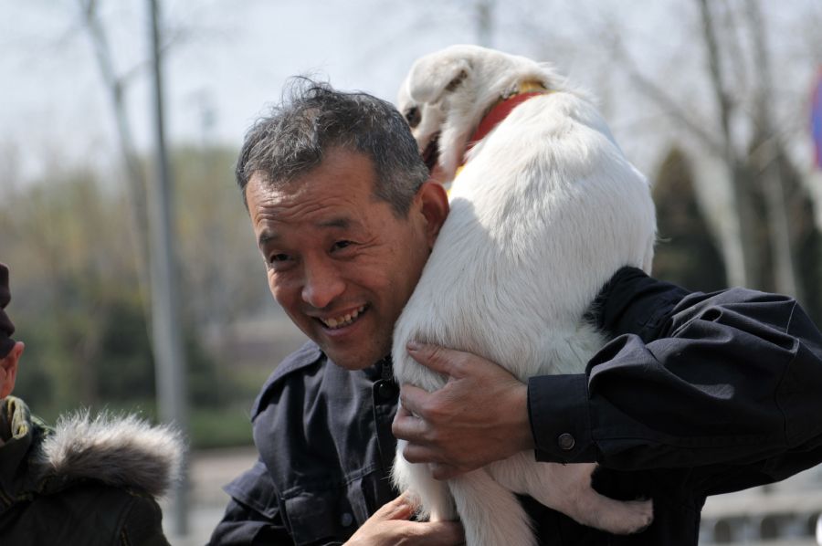 Chins carrega co para adoo em feira de conscientizao animal, em Pequim  / China Out/AFP