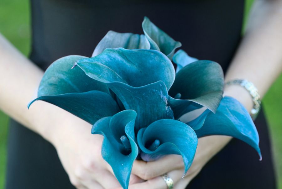 Bouquets de noiva na cor azul 