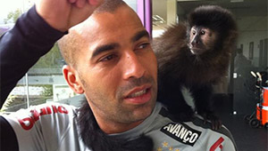 sheik-macaca.jpg