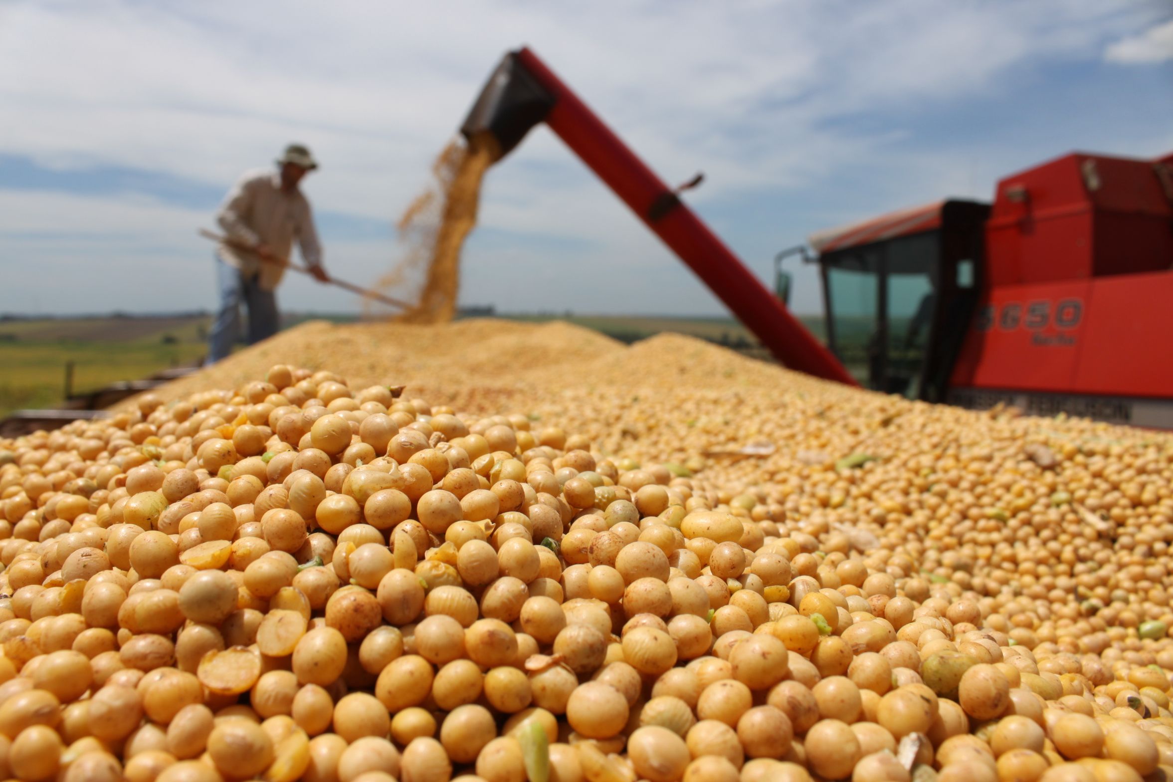 Abiove reduz produção de soja em 2022 para 140 milhões de toneladas
