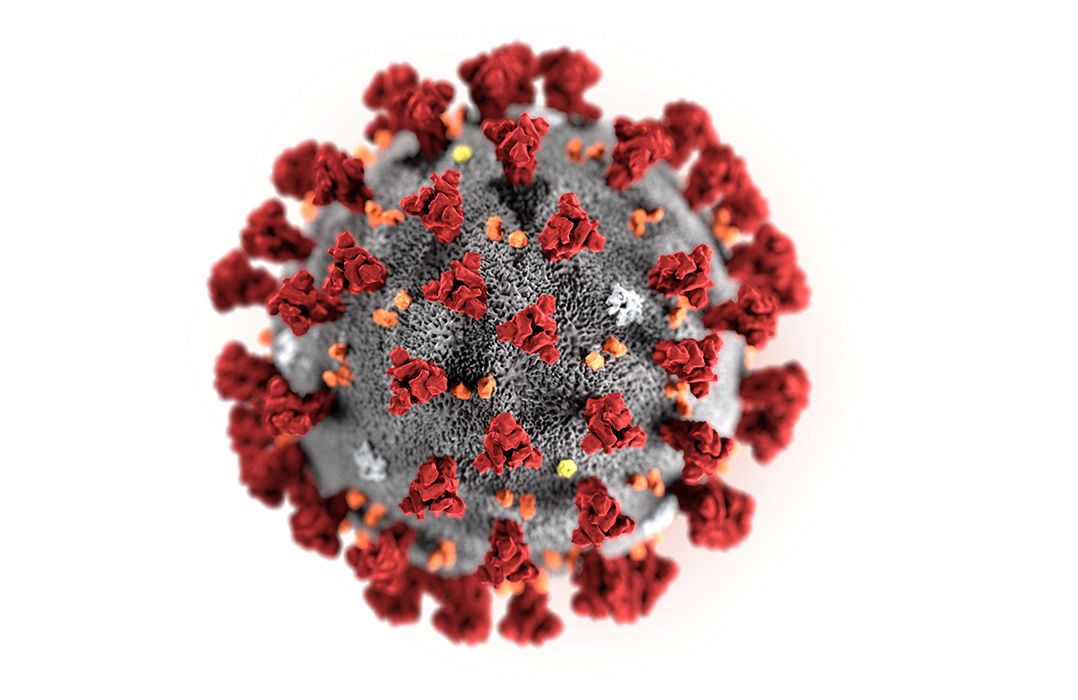 Coronavírus está passando por mutações