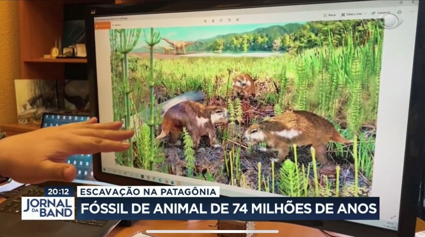 Cientistas Descobrem Fóssil De Animal De 74 Milhões De Anos Band