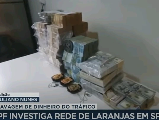 Operação Smurfing: quase 40 mulheres eram 'laranjas' em tráfico de drogas e  lavagem de dinheiro - Folha PE